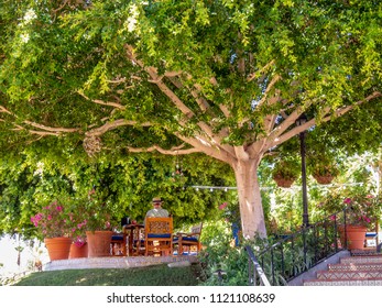 La Quinta, CA / USA - July 16 2011: A Shady Spot To Relax At The La Quinta Resort, CA