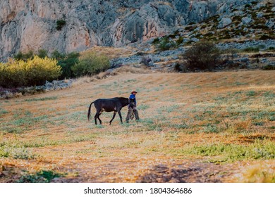 Cañete La Real Andalusia Spain 27 August 2020 A Spanish Donkey With A Man Walking In A Field