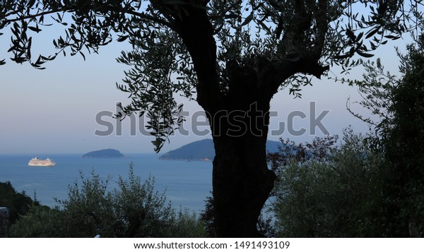 La Spezia Liguria Italy About August Stock Photo Edit Now