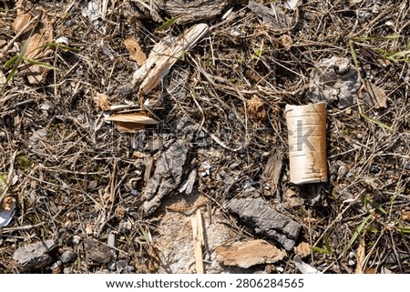 La Tuque, Quebec, 13 May 2026 : Dry grass, wood chips, and bark fragments cover the ground, with a piece of birch bark.