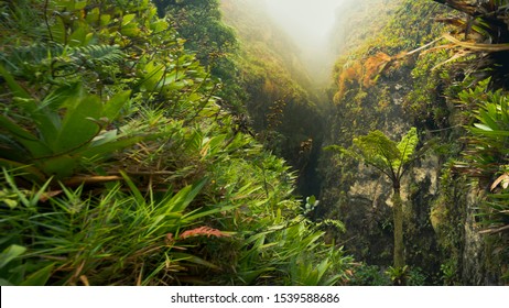 La Soufrière Volcano On Guadeloupe.