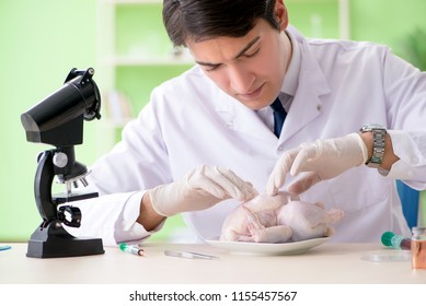 Lab Assistant Testing GMO Chicken