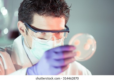 Lab Coat, Mask And Goggles Protected Life Science Researcher Observing Potentially Infectious Cells In Petri Dish. Focus On Scientist's Eye. Health Care And Biotechnology Concept.