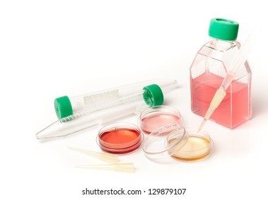 Lab flasks and petri dishes for biochemistry testing of blood. Labware dishes for medical diagnostic. Human cell into biomedical scientific laboratory.