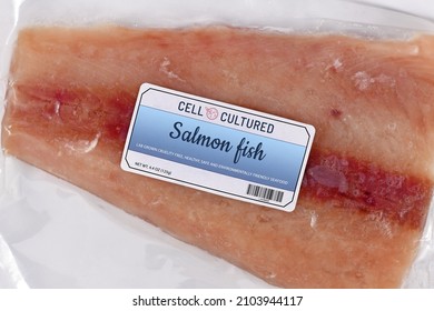 Lab Grown Cell Cultured Salmon Fish Concept For Artificial In Vitro Seafood Production With Frozen Packed Raw Fish With Made Up Label