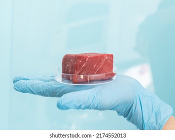 Lab grown meat concept - meat in petri dish - Shutterstock ID 2174552013