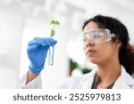 Lab, research and woman with plant in test tube for gmo development, growth or inspection in science. Biotech, nature and scientist with leaf for study, sustainability or innovation in agriculture