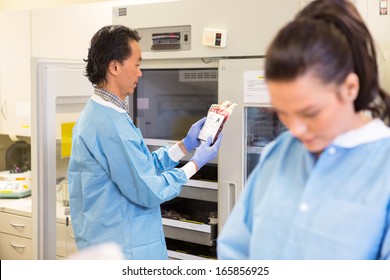 Lab Tech Retreiving Bag Of Red Blood Cells From Blood Bank In Hospital