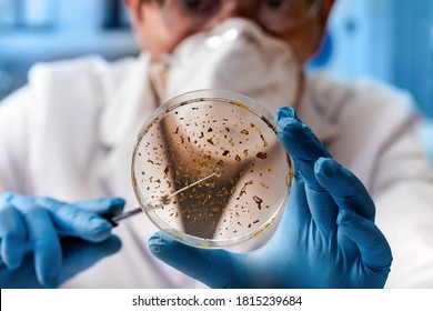 Microbiologie Images Photos Et Images Vectorielles De Stock Shutterstock