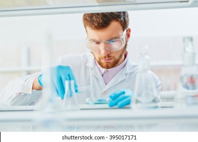 Lab Technician Doing Experiment In Lab