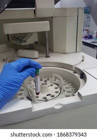 Lab Technician Holding Test Tube With Label COVID-19, Chemistry Analysis Of Recovered Coronavirus Patient Blood Specimen Sample.