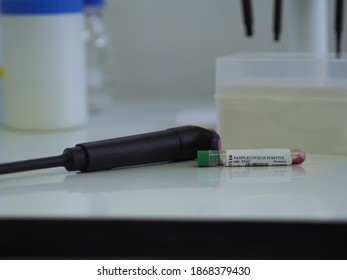 Lab Technician Holding Test Tube With Label COVID-19, Chemistry Analysis Of Recovered Coronavirus Patient Blood Specimen Sample.