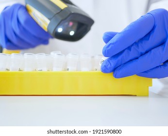 Lab Technician Or Medical Assistant Scans Patient Samples Into The Patient Database. Laboratory Technician Job. Genetic And Cancer Screening And Medical Technology And Therapy