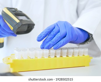 Lab Technician Or Medical Assistant Scans Patient Samples Into The Patient Database. Laboratory Technician Uses Barcode Reader. Genetic And Cancer Screening And Medical Technology And Therapy.