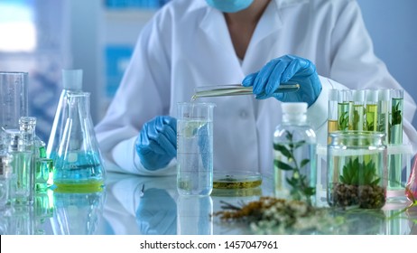 Lab Technician Pouring Oil In Test Liquid, Cosmetics Production, Aromatherapy