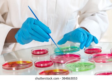 lab technician workinh on research with  petri dish