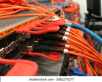 Lab Test Network Switch Fiber Cables Stock Photo (Edit Now) 1082275985