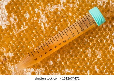 Lab Tube With Honey  - Testing Honey For Harmful Substances And Pesticides