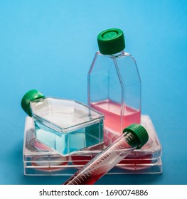 Lab ware with solutions and reagents for blood test closeup. Lab flasks, vials, multi plate dish and medical gloves for biochemistry diagnostic. Labware tools for biomedical scientific laboratory.