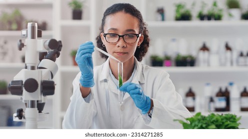 Lab worker, woman ecology scientist and test tube with chemical of employee with science work. Laboratory, medical and plant for disease, virus and health analysis doing futuristic research with tech - Powered by Shutterstock