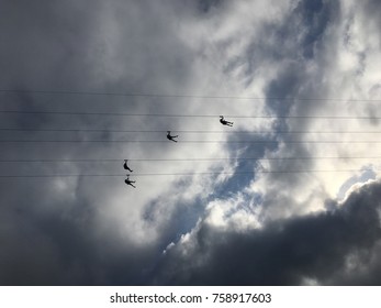 Labadee, Hawai, strings in sky