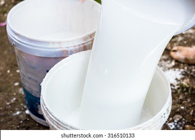 labor pouring white paint from a bucket