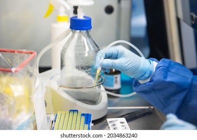 Laboratory Analysis CPR Tests For Covid-19 Virus