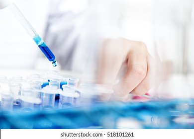 Laboratory Assistant In The  Of  Food Quality.Cell Culture Assay To Test Genetically Modified Seed