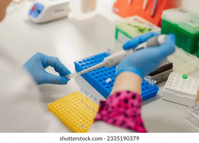 laboratory assistant uses  pipette to work with biomaterial,  hand in glove with automatic pipette, DNA test