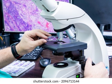 Laboratory assistant works with microscope at the modern laboratory.
