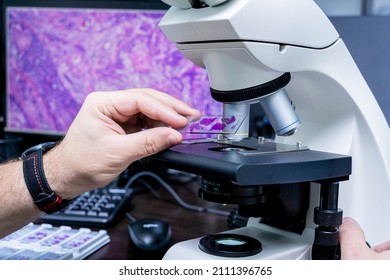 Laboratory assistant works with microscope at the modern laboratory. - Shutterstock ID 2111396765