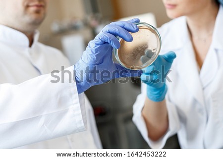Laboratory assistants take bacterium analysis in a bacteriology clinic. Microbiological medical concept
