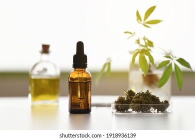 Laboratory Cbd Oil Pot With Seeds, Flowers And Unfocused Cannabis Plant, Selective Focus