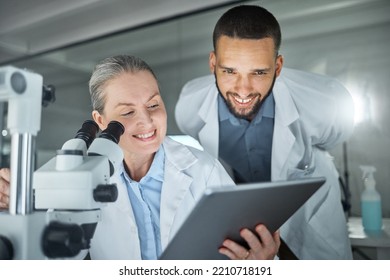 Laboratory Collaboration, Microscope Or Tablet In Science Data Analysis, Medical Innovation Help Or Healthcare Research For Mature Woman Or Man. Smile, Happy Or Dna Scientist Teamwork With Technology