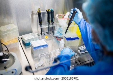 Laboratory Electronic Pipette Laboratory Electronic Pipette In A Laminar Flow Cabinet