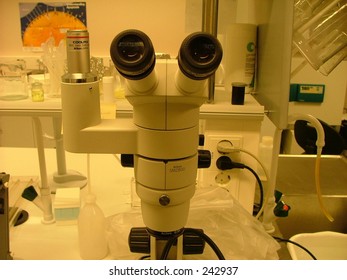 laboratory and it's equipment
