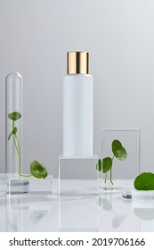 Laboratory Experiment And Research With Centella Asiatica (gotu Kola), Oil And Ingredient Extract For Natural Beauty And Organic Cosmetic Skincare Product. The Blank Bottle For Label Science Concept.