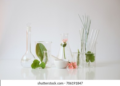 Laboratory Experiment And Research With Leaf,oil And Ingredient  Extract For Natural Beauty And Organic Cosmetic Skincare Product The Blank Bottle For Label Science Concept. Alternative Medicine. Spa.