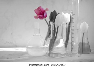 11,751 Flowers Flasks Images, Stock Photos & Vectors | Shutterstock