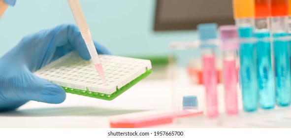 1,125 Pcr Plates Images, Stock Photos & Vectors | Shutterstock