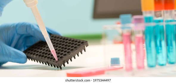 1,125 Pcr Plates Images, Stock Photos & Vectors | Shutterstock