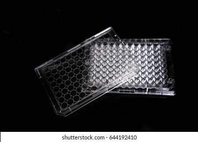 96 Well Plate Images Stock Photos Vectors Shutterstock