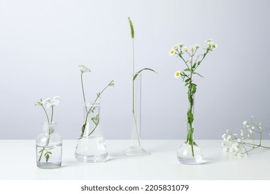 Laboratory Glassware With Flowers On White Table