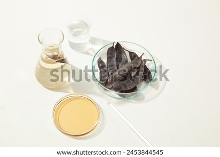 Laboratory and locust layout with a group of lab equipments, a erlenmeyer flask filled by light yellow liquid, petri dish of locust extract a beaker of water. Space for text and advertising
