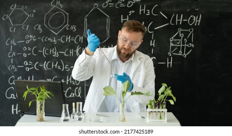 Laboratory Male Assistant Apply With A Pipette Herbicide And Pesticide On A Leaf Of A Green Plant Laboratory Experiment. Microbiology Scientist Working In A Plants Science Lab.