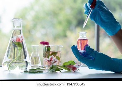 In laboratory ,natural orgaric extraction and flower herble aroma assence in flasks.beauty scientist ,research and develop project medicine for health and beauty care.
