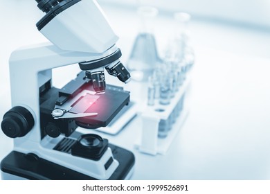 Laboratory Research And Biotechnology Science Concept, Chemical Lab Equipment Tool For Experimental Medical Biology. Biology Education And Technology Development Lab Testing For Medicine Scientist