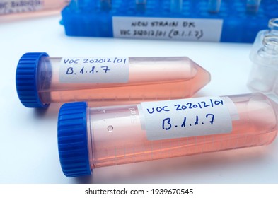 Laboratory research new strain of British sars-cov-2 scientifically named VOC 20201201 (B.1.1.7)
