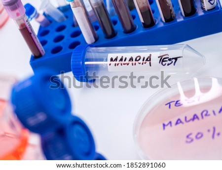 Laboratory research on the insecticide clothianidin, cause of malaria disease through The Anopheles family of malarial mosquitoes, conceptual image
