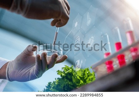 laboratory, research, science, biotechnology, biology, scientist, chemistry, eco, biochemistry, chemical. researcher of hands take a test tube and dropper biotechnology chemistry eco chemical.